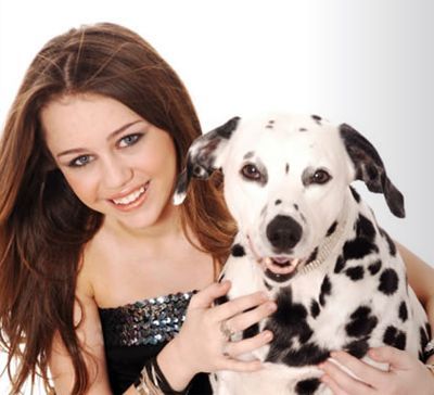 miley_kutya.jpg